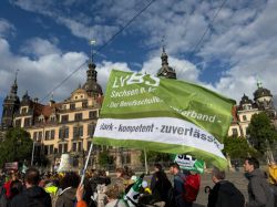 2025 Demo2 011 (Custom)